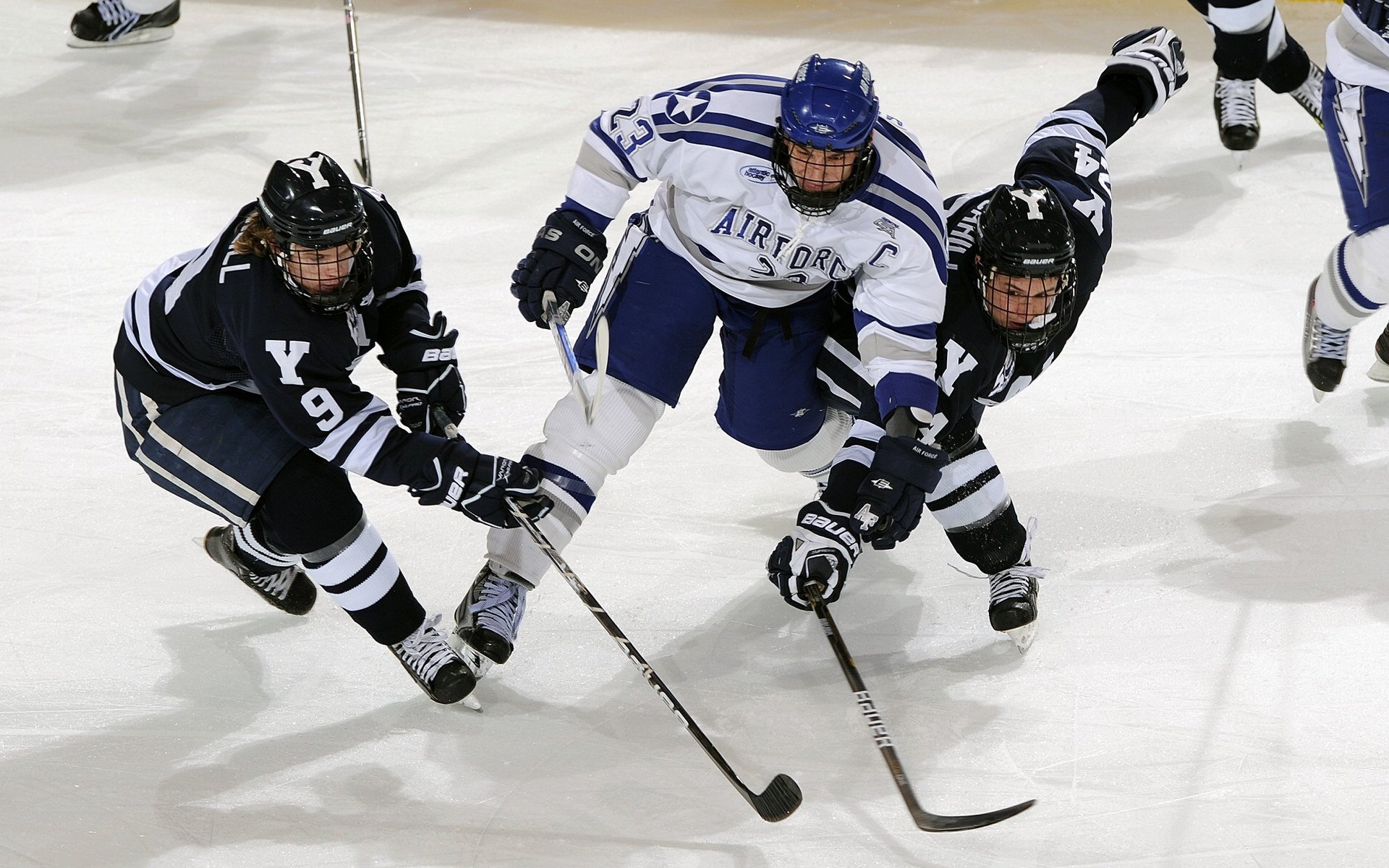 “马科斯·梅特罗的进攻火力和防守稳健，成就美洲狮队的全能之星”